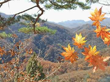 米非司酮片打胎药专卖微信璋利国际完成配售359万股 净筹约415万港元