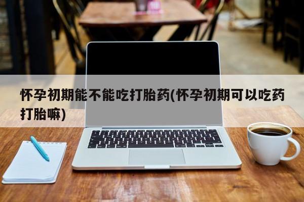 米非司酮片打胎药专卖微信怀孕初期能不能吃打胎药(怀孕初期可以吃药打胎嘛)